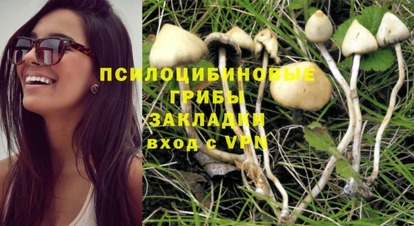 соль курить ск Михайлов