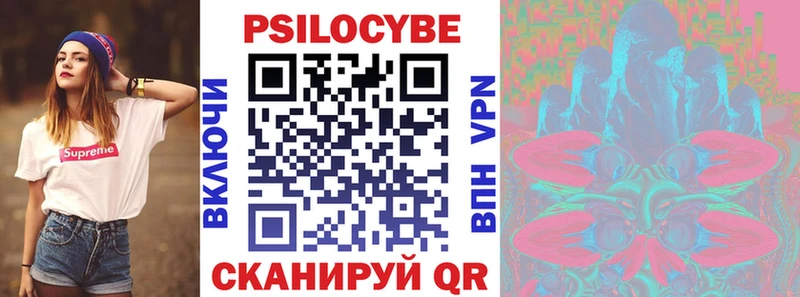 Купить закладки  Невьянск  Псилоцибиновые грибы прущие грибы 